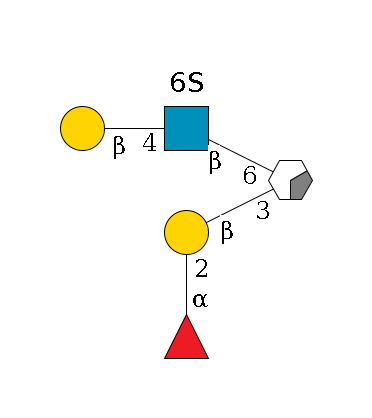 ?1D-GalNAc,p/#acleavage_0_2(--3b1D-Gal,p--2a1L-Fuc,p)--6b1D-GlcNAc,p(--6?1S)--4b1D-Gal,p$MONO,Und,-H,0,redEnd
