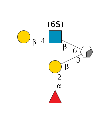 ?1D-GalNAc,p/#acleavage_0_2(--3b1D-Gal,p--2a1L-Fuc,p)--6b1D-GlcNAc,p(--6?1S/#lcleavage)--4b1D-Gal,p$MONO,Und,-H,0,redEnd