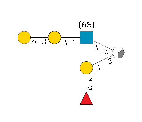 ?1D-GalNAc,p/#acleavage_0_2(--3b3D-Gal,p--2a1L-Fuc,p)--6b1D-GlcNAc,p(--4b1D-Gal,p--3a1D-Gal,p)--6?1S/#lcleavage$MONO,Und,-H,0,redEnd