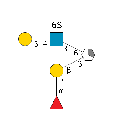 ?1D-GalNAc,p/#acleavage_1_5(--3b1D-Gal,p--2a1L-Fuc,p)--6b1D-GlcNAc,p(--6?1S)--4b1D-Gal,p$MONO,Und,-H,0,redEnd