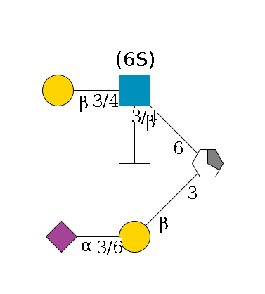 ?1D-GalNAc,p/#acleavage_1_5(--3b1D-Gal,p--3/6a2D-NeuAc,p)--6b1D-GlcNAc,p((--3/4a1L-Fuc,p/#zcleavage)--3/4b1D-Gal,p)--6?1S/#lcleavage$MONO,Und,-H,0,redEnd