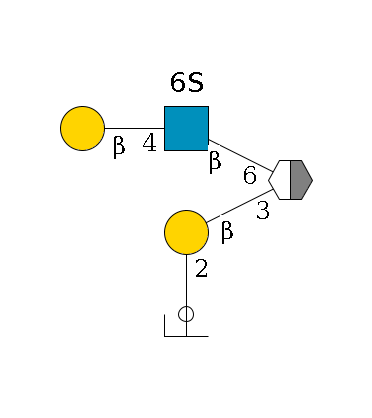 ?1D-GalNAc,p/#acleavage_2_5(--3b1D-Gal,p--2a1L-Fuc,p/#ycleavage)--6b1D-GlcNAc,p(--6?1S)--4b1D-Gal,p$MONO,Und,-H,0,redEnd