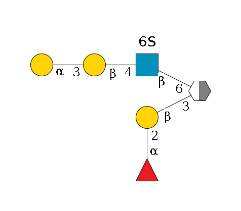 ?1D-GalNAc,p/#acleavage_2_5(--3b3D-Gal,p--2a1L-Fuc,p)--6b1D-GlcNAc,p(--4b1D-Gal,p--3a1D-Gal,p)--6?1S$MONO,Und,-H,0,redEnd