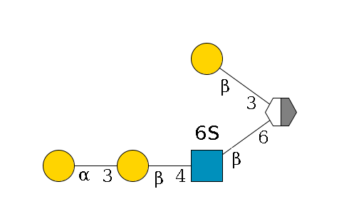 ?1D-GalNAc,p/#acleavage_2_5(--6b1D-GlcNAc,p(--4b1D-Gal,p--3a1D-Gal,p)--6?1S)--3b1D-Gal,p$MONO,Und,-H,0,redEnd