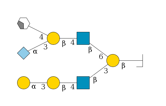 ?1D-GalNAc,p/#bcleavage--3b1D-Gal,p(--3b1D-GlcNAc,p--4b1D-Gal,p--3a1D-Gal,p)--6b1D-GlcNAc,p--4b1D-Gal,p(--3a2D-NeuGc,p)--4b1D-GalNAc,p/#xcleavage_2_4$MONO,Und,-2H,0,redEnd