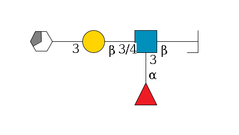 a1D-GalNAc,o/#bcleavage--6b1D-GlcNAc,p(--3/4b1D-Gal,p--3a2D-NeuAc,p/#xcleavage_3_5)--3a1L-Fuc,p$MONO,Und,-H,0,redEnd