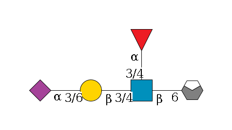a1D-GalNAc,p/#acleavage_0_4--6b1D-GlcNAc,p(--3/4a1L-Fuc,p)--3/4b1D-Gal,p--3/6a2D-NeuAc,p$MONO,Und,-H,0,redEnd
