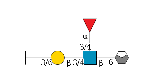 a1D-GalNAc,p/#acleavage_0_4--6b1D-GlcNAc,p(--3/4a1L-Fuc,p)--3/4b1D-Gal,p--3/6a2D-NeuAc,p/#zcleavage$MONO,Und,-H,0,redEnd