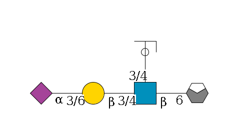 a1D-GalNAc,p/#acleavage_0_4--6b1D-GlcNAc,p(--3/4a1L-Fuc,p/#ycleavage)--3/4b1D-Gal,p--3/6a2D-NeuAc,p$MONO,Und,-H,0,redEnd