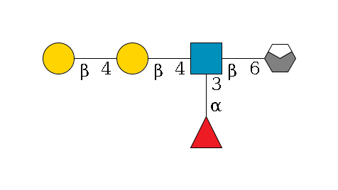 a1D-GalNAc,p/#acleavage_0_4--6b1D-GlcNAc,p(--4b1D-Gal,p--4b1D-Gal,p)--3a1L-Fuc,p$MONO,Und,-H,0,redEnd