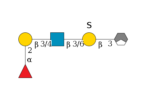 a1D-GalNAc,p/#acleavage_1_3--3b1D-Gal,p(--3/6?1S)--3/6b1D-GlcNAc,p--3/4b1D-Gal,p--2a1L-Fuc,p$MONO,Und,-H,0,redEnd
