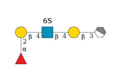 a1D-GalNAc,p/#acleavage_1_4--3b1D-Gal,p--4b1D-GlcNAc,p(--4b1D-Gal,p--2a1L-Fuc,p)--6?1S$MONO,Und,-H,0,redEnd
