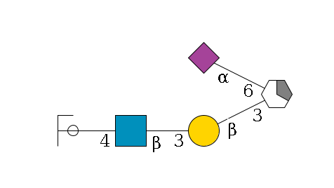 a1D-GalNAc,p/#acleavage_1_5(--3b1D-Gal,p--3b1D-GlcNAc,p--4b1D-Gal,p/#ycleavage)--6a2D-NeuAc,p$MONO,Und,-2H,0,redEnd