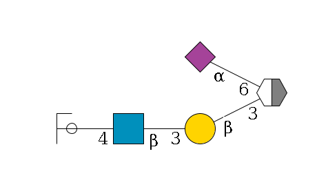 a1D-GalNAc,p/#acleavage_2_5(--3b1D-Gal,p--3b1D-GlcNAc,p--4b1D-Gal,p/#ycleavage)--6a2D-NeuAc,p$MONO,Und,-H,0,redEnd