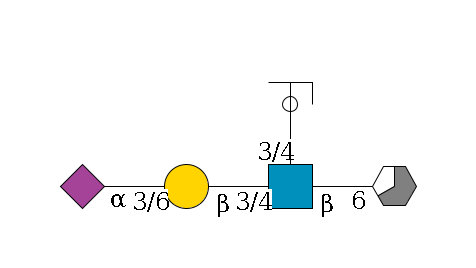 a1D-GalNAc,p/#acleavage_3_5--6b1D-GlcNAc,p(--3/4a1L-Fuc,p/#ycleavage)--3/4b1D-Gal,p--3/6a2D-NeuAc,p$MONO,Und,-H,0,redEnd