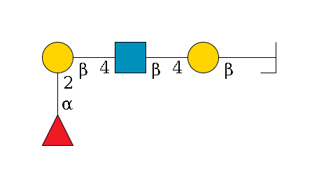 a1D-GalNAc,p/#bcleavage--3b1D-Gal,p--4b1D-GlcNAc,p--4b1D-Gal,p--2a1L-Fuc,p$MONO,Und,-H,0,redEnd