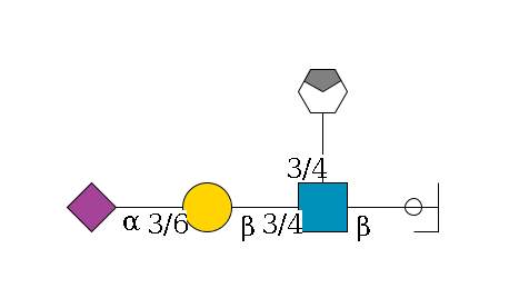 a1D-GalNAc,p/#ccleavage--6b1D-GlcNAc,p(--3/4a1L-Fuc,p/#xcleavage_0_4)--3/4b1D-Gal,p--3/6a2D-NeuAc,p$MONO,Und,-H,0,redEnd
