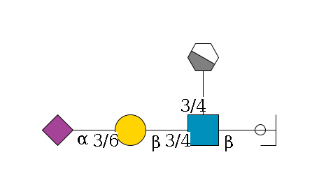 a1D-GalNAc,p/#ccleavage--6b1D-GlcNAc,p(--3/4a1L-Fuc,p/#xcleavage_1_4)--3/4b1D-Gal,p--3/6a2D-NeuAc,p$MONO,Und,-H,0,redEnd