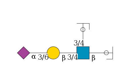a1D-GalNAc,p/#ccleavage--6b1D-GlcNAc,p(--3/4a1L-Fuc,p/#ycleavage)--3/4b1D-Gal,p--3/6a2D-NeuAc,p$MONO,Und,-H,0,redEnd