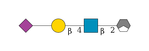 a1D-Man,p/#acleavage_1_3--2b1D-GlcNAc,p--4b1D-Gal,p--??2D-NeuAc,p$MONO,Und,-2H,0,redEnd