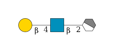 a1D-Man,p/#acleavage_1_4--2b1D-GlcNAc,p--4b1D-Gal,p$MONO,Und,-H,0,redEnd