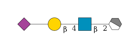 a1D-Man,p/#acleavage_1_4--2b1D-GlcNAc,p--4b1D-Gal,p--??2D-NeuAc,p$MONO,Und,-H,0,redEnd