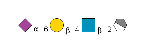 a1D-Man,p/#acleavage_1_4--2b1D-GlcNAc,p--4b1D-Gal,p--6a2D-NeuAc,p$MONO,Und,-2H,0,redEnd