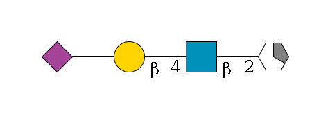 a1D-Man,p/#acleavage_1_5--2b1D-GlcNAc,p--4b1D-Gal,p--??2D-NeuAc,p$MONO,Und,-H,0,redEnd
