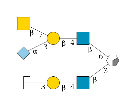 b1D-Gal,p/#acleavage_0_2(--3b1D-GlcNAc,p--4b1D-Gal,p--3a1D-Gal,p/#zcleavage)--6b1D-GlcNAc,p--4b1D-Gal,p(--3a2D-NeuGc,p)--4b1D-GalNAc,p$MONO,Und,-H,0,redEnd