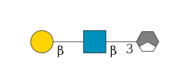 b1D-Gal,p/#acleavage_1_3--3b1D-GlcNAc,p--?b1D-Gal,p$MONO,Und,-H,0,redEnd