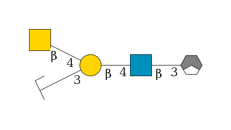 b1D-Gal,p/#acleavage_1_3--3b1D-GlcNAc,p--4b1D-Gal,p(--3a2D-NeuGc,p/#zcleavage)--4b1D-GalNAc,p$MONO,Und,-H,0,redEnd