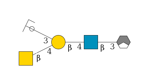 b1D-Gal,p/#acleavage_1_3--3b1D-GlcNAc,p--4b1D-Gal,p(--4b1D-GalNAc,p)--3a2D-NeuGc,p/#ycleavage$MONO,Und,-H,0,redEnd