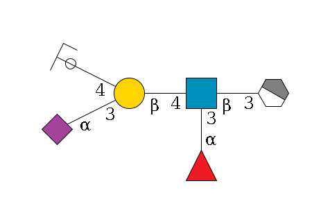 b1D-Gal,p/#acleavage_1_4--3b1D-GlcNAc,p(--4b1D-Gal,p(--3a2D-NeuAc,p)--4b1D-Gal,p/#ycleavage)--3a1L-Fuc,p$MONO,Und,-H,0,redEnd