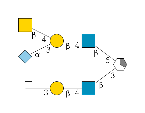b1D-Gal,p/#acleavage_1_5(--3b1D-GlcNAc,p--4b1D-Gal,p--3a1D-Gal,p/#zcleavage)--6b1D-GlcNAc,p--4b1D-Gal,p(--3a2D-NeuGc,p)--4b1D-GalNAc,p$MONO,Und,-H,0,redEnd