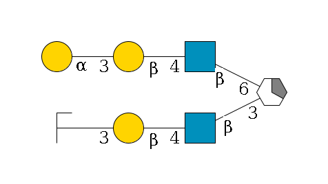 b1D-Gal,p/#acleavage_1_5(--3b1D-GlcNAc,p--4b1D-Gal,p--3a1D-Gal,p/#zcleavage)--6b1D-GlcNAc,p--4b1D-Gal,p--3a1D-Gal,p$MONO,Und,-2H,0,redEnd