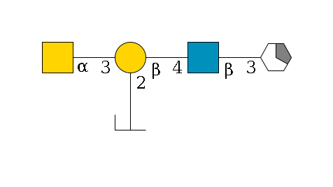 b1D-Gal,p/#acleavage_1_5--3b1D-GlcNAc,p--4b1D-Gal,p(--3a1D-GalNAc,p)--2a1L-Fuc,p/#zcleavage$MONO,Und,-H,0,redEnd