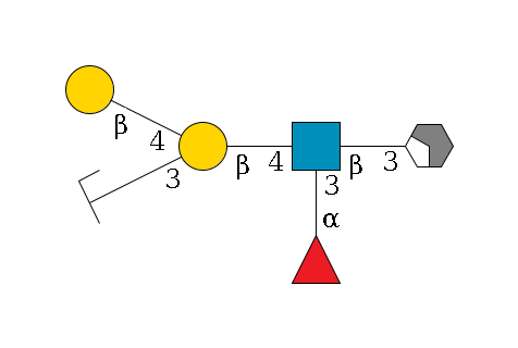 b1D-Gal,p/#acleavage_2_4--3b1D-GlcNAc,p(--4b1D-Gal,p(--3a2D-NeuAc,p/#zcleavage)--4b1D-Gal,p)--3a1L-Fuc,p$MONO,Und,-H,0,redEnd