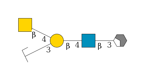 b1D-Gal,p/#acleavage_2_4--3b1D-GlcNAc,p--4b1D-Gal,p(--3a2D-NeuGc,p/#zcleavage)--4b1D-GalNAc,p$MONO,Und,-H,0,redEnd