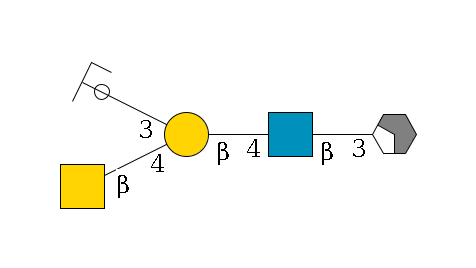 b1D-Gal,p/#acleavage_2_4--3b1D-GlcNAc,p--4b1D-Gal,p(--4b1D-GalNAc,p)--3a2D-NeuGc,p/#ycleavage$MONO,Und,-H,0,redEnd