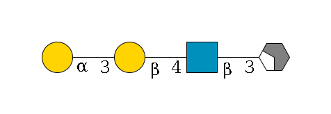 b1D-Gal,p/#acleavage_2_4--3b1D-GlcNAc,p--4b1D-Gal,p--3a1D-Gal,p$MONO,Und,-H,0,redEnd