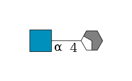 b1D-Gal,p/#acleavage_2_4--4a1D-GlcNAc,p$MONO,Und,-H,0,redEnd