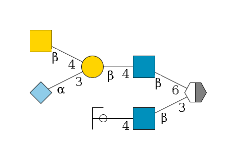 b1D-Gal,p/#acleavage_2_5(--3b1D-GlcNAc,p--4b1D-Gal,p/#ycleavage)--6b1D-GlcNAc,p--4b1D-Gal,p(--3a2D-NeuGc,p)--4b1D-GalNAc,p$MONO,Und,-H,0,redEnd