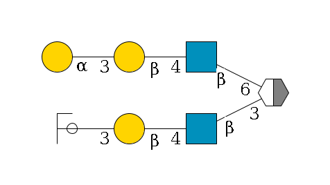 b1D-Gal,p/#acleavage_2_5(--3b1D-GlcNAc,p--4b1D-Gal,p--3a1D-Gal,p/#ycleavage)--6b1D-GlcNAc,p--4b1D-Gal,p--3a1D-Gal,p$MONO,Und,-H,0,redEnd