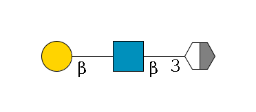 b1D-Gal,p/#acleavage_2_5--3b1D-GlcNAc,p--?b1D-Gal,p$MONO,Und,-H,0,redEnd