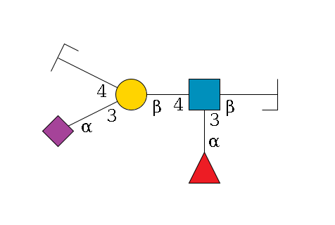 b1D-Gal,p/#bcleavage--3b1D-GlcNAc,p(--4b1D-Gal,p(--3a2D-NeuAc,p)--4b1D-Gal,p/#zcleavage)--3a1L-Fuc,p$MONO,Und,-H,0,redEnd
