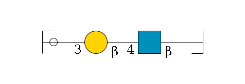 b1D-Gal,p/#bcleavage--3b1D-GlcNAc,p--4b1D-Gal,p--3a1D-Gal,p/#ycleavage$MONO,Und,-H,0,redEnd