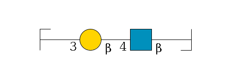 b1D-Gal,p/#bcleavage--6b1D-GlcNAc,p--4b1D-Gal,p--3a1D-Gal,p/#zcleavage$MONO,Und,-H,0,redEnd