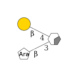 b1D-GlcNAc,p/#acleavage_0_2(--3b1D-Ara,p)--4b1D-Gal,p$MONO,perMe,Na,0,PA