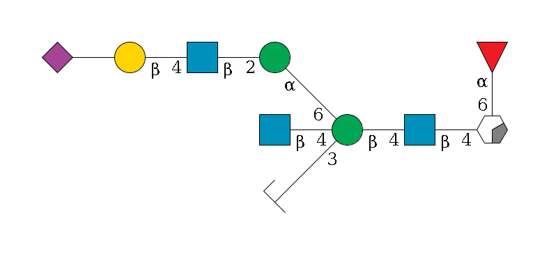 b1D-GlcNAc,p/#acleavage_0_2(--4b1D-GlcNAc,p--4b1D-Man,p((--3a1D-Man,p/#zcleavage)--4b1D-GlcNAc,p)--6a1D-Man,p--2b1D-GlcNAc,p--4b1D-Gal,p--??2D-NeuAc,p)--6a1L-Fuc,p$MONO,Und,-2H,0,redEnd