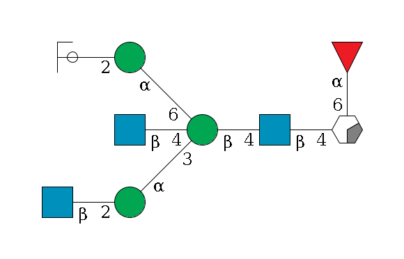 b1D-GlcNAc,p/#acleavage_0_2(--4b1D-GlcNAc,p--4b1D-Man,p((--3a1D-Man,p--2b1D-GlcNAc,p)--4b1D-GlcNAc,p)--6a1D-Man,p--2b1D-GlcNAc,p/#ycleavage)--6a1L-Fuc,p$MONO,Und,-2H,0,redEnd
